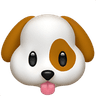 hond